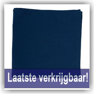 Bunzlau 4x Placemats - Donkerblauw (60PL01)